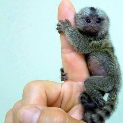 Questo blog fa schifo…